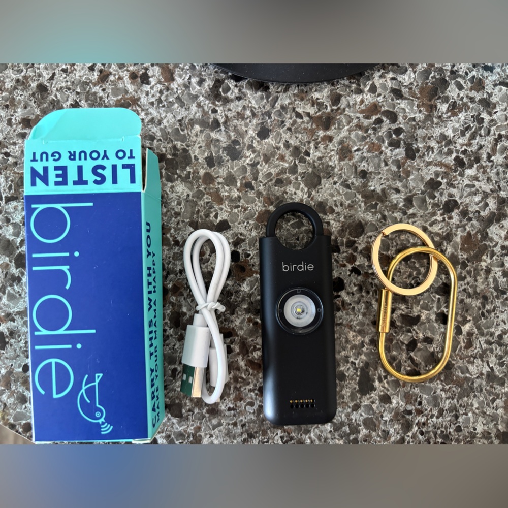 Birdie alarm system keychain -slate gray